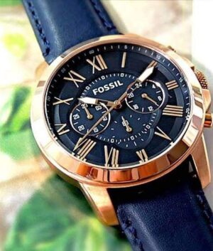 TrendsWrist Fossil Fs4835 Blue Premium Watch